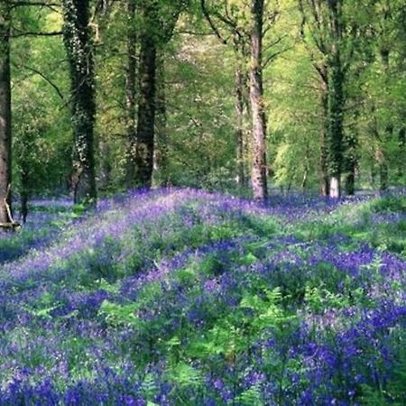The Cider House Holiday Cottage Welsh Newton Common Екстериор снимка