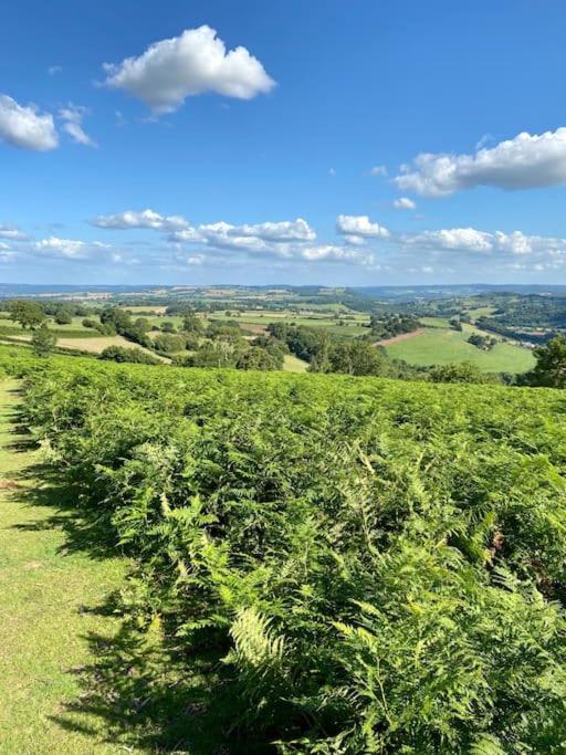 The Cider House Holiday Cottage Welsh Newton Common Екстериор снимка